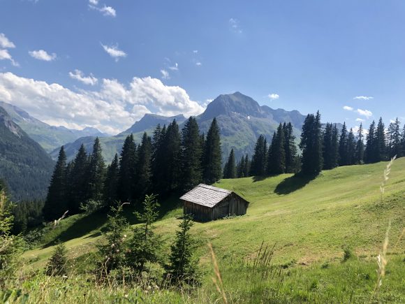 Wunderschöne Lech Webcam Ausblicke im Sommer