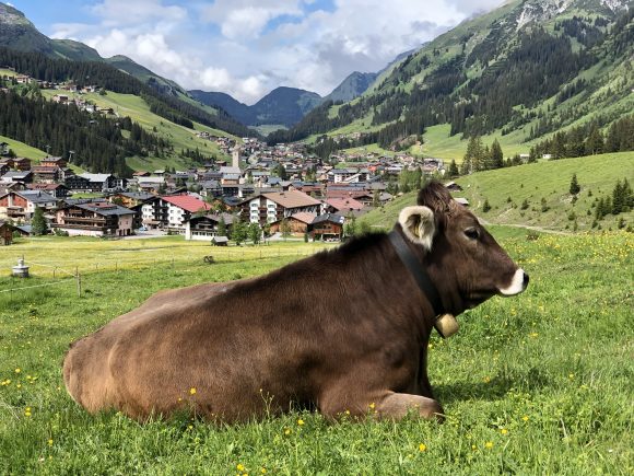 Die Lech Card bietet so viele Möglichkeiten um den Arlberg aktiv zu erleben.