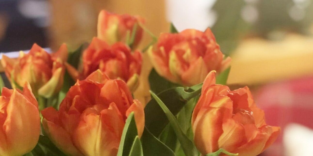 Beautiful flowers and a heartly welcome in the Hotel Garni Schneider in Lech