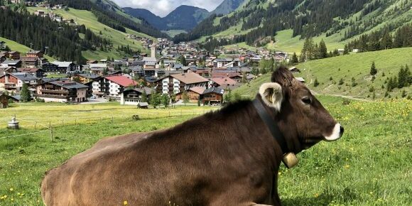 The Lech Card is your perfect fit for all summer activities in Lech am Arlberg.